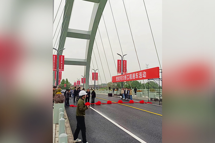 Proyecto de tráfico de alumbrado público de puente